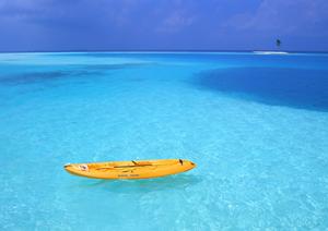 2025年最新版：日本航空の株主優待を最大限に活用する完全ガイド