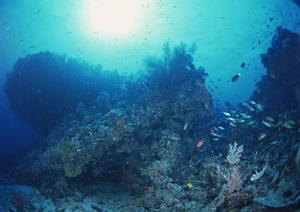 神奈川県茅ヶ崎市にある東横INN茅ヶ崎市役所：快適な宿泊を提供するビジネスホテルの魅力と詳細情報