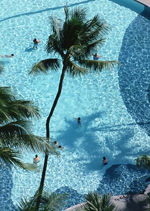 【公式情報を基に解説】東横INN徳島駅眉山口の魅力と詳細情報