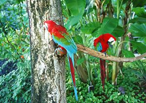 2026年最新版：ブータン旅行を成功させるための完全ガイド