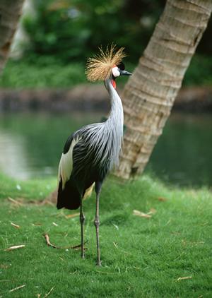 千葉県柏市に位置する東横INN柏駅東口：快適な滞在を実現するビジネスホテルの魅力と詳細情報