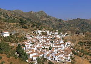 尼崎で快適に過ごせるビジネスホテル【東横INN阪神尼崎駅前】の魅力と詳細情報