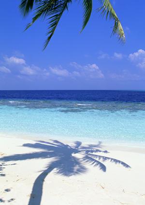 東横INNホスピタルイン獨協医科大学：快適な滞在をサポートするビジネスホテルの魅力と詳細情報