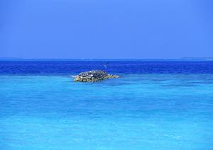 羽田空港直結！住友不動産ヴィラフォンテーヌの「オールデイダイニング グランドエール」の魅力と詳細情報