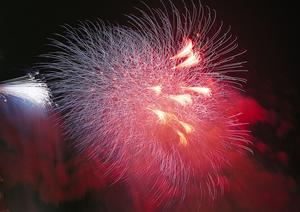 京都駅近くのビジネスホテル【東横INN京都四条大宮】 ? 快適な滞在と便利なアクセスを提供